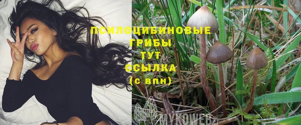 трава Абдулино