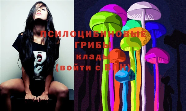 ешки Абаза