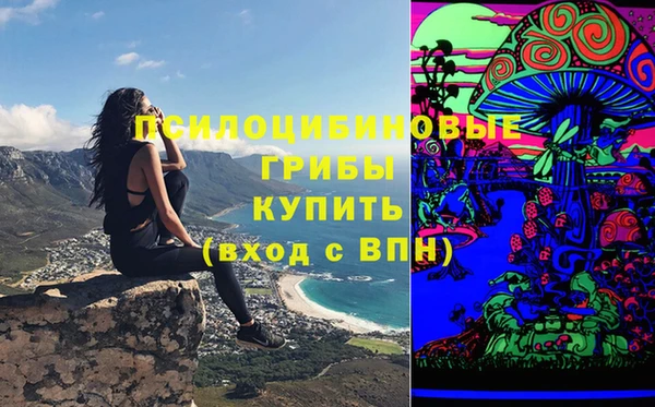 ешки Абаза