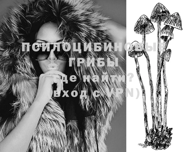 ешки Абаза